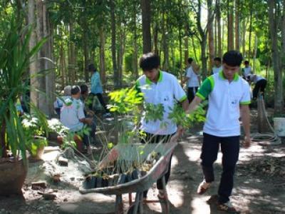 โครงการปลูกป่าเฉลิมพระเกียรติ