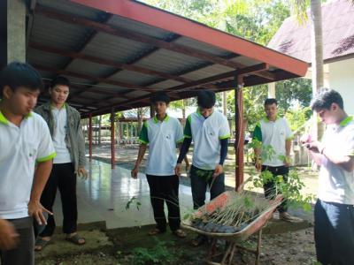 โครงการปลูกป่าเฉลิมพระเกียรติ