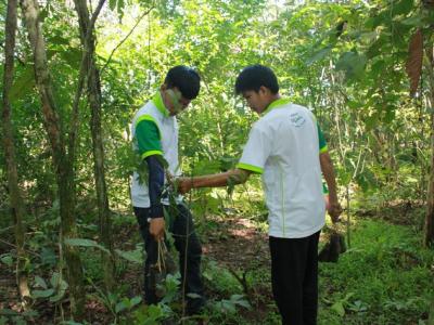 โครงการปลูกป่าเฉลิมพระเกียรติ