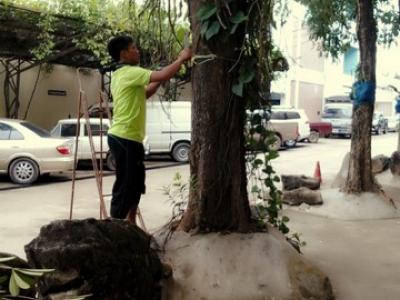 โครงการบำเพ็ญประโยชน์และอนุรักษ์ธรรมชาติ