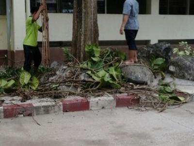 โครงการบำเพ็ญประโยชน์และอนุรักษ์ธรรมชาติ