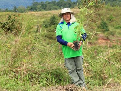 ปลูกป่าให้ช้าง เขตรักษาพันธ์สัตว์ป่าภูหลวง 23 ส.ค. 57