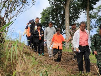 ปลูกป่าให้ช้าง เขตรักษาพันธ์สัตว์ป่าภูหลวง 23 ส.ค. 57