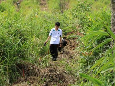 60-ปลูกป่า เขตรักษาพันธ์สัตว์ป่าภูหลวง