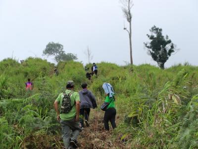 60-ปลูกป่า เขตรักษาพันธ์สัตว์ป่าภูหลวง