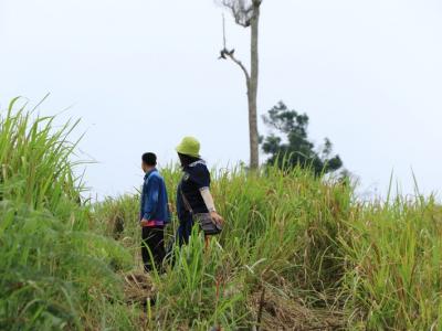 60-ปลูกป่า เขตรักษาพันธ์สัตว์ป่าภูหลวง