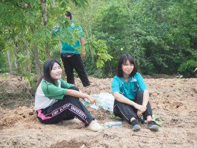 60-ปลูกต้นกล้าบูชาพระธรรม