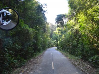 60-เดินปาศึกษาธรรมชาติ เขตรักษาพันธ์สัตว์ป่าภูหลวง